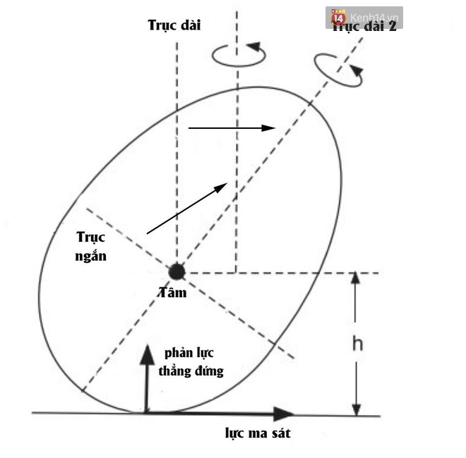 Hãy xoay một quả trứng luộc và bạn sẽ thấy điều kỳ diệu xảy ra - Ảnh 2.