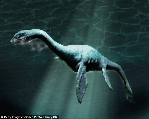Sinh vật bí ẩn giống hệt quái vật hồ Loch Ness dạt vào bờ biển Mỹ - Ảnh 2.