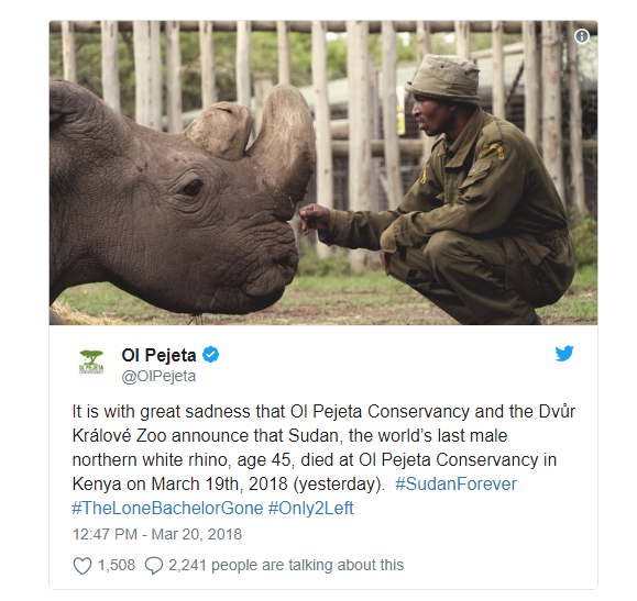 Chú tê giác trắng đực Bắc Phi cuối cùng trên thế giới qua đời - niềm hy vọng mong manh cuối cùng bị dập tắt - Ảnh 2.
