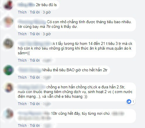 Chồng đưa mỗi tháng 2 triệu, vợ dồn cả nuôi con chẳng dư đồng nào còn bị mẹ chồng chê hoang - Ảnh 3.