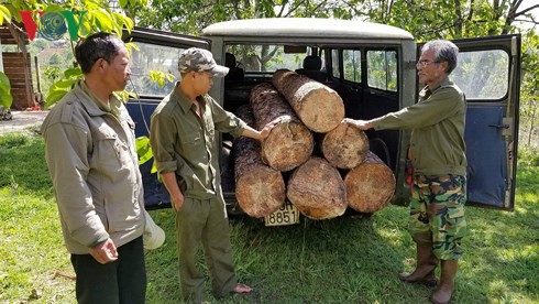 Lâm tặc ở Lâm Đồng dùng ô tô cũ, biển số giả để chuyển gỗ trái phép - Ảnh 1.