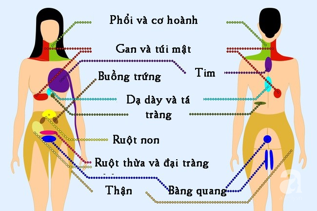 Các Vị Trí Đau Trên Cơ Thể Và Ý Nghĩa Của Chúng