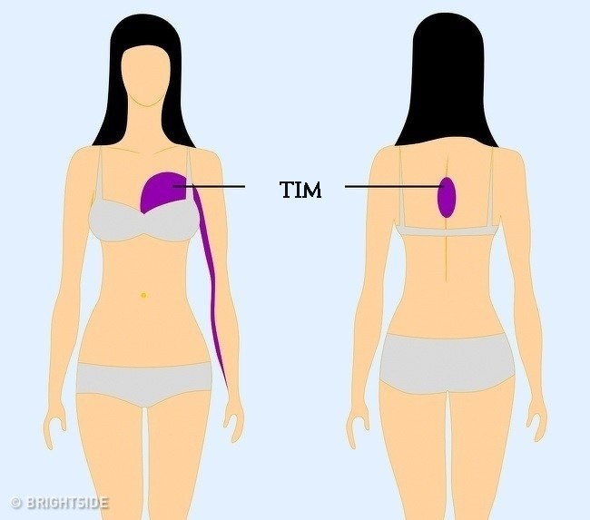 9 vị trí nếu thấy đau thì bạn nên cẩn trọng và đi khám càng sớm càng tốt - Ảnh 2.