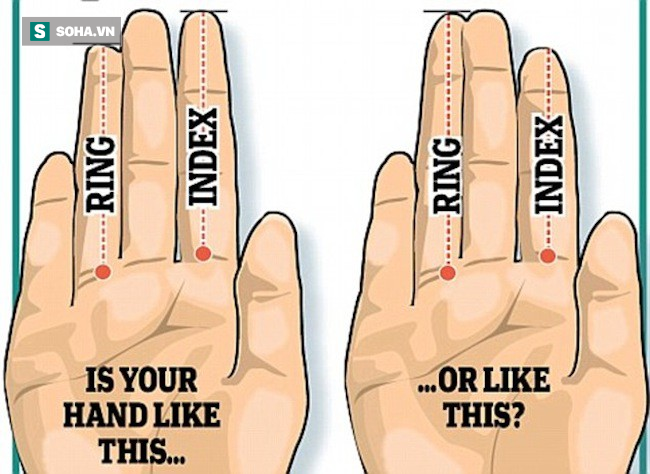 Các nhà khoa học tiết lộ mẹo đo 2 ngón tay của đàn ông để đoán kích thước của cậu nhỏ - Ảnh 1.