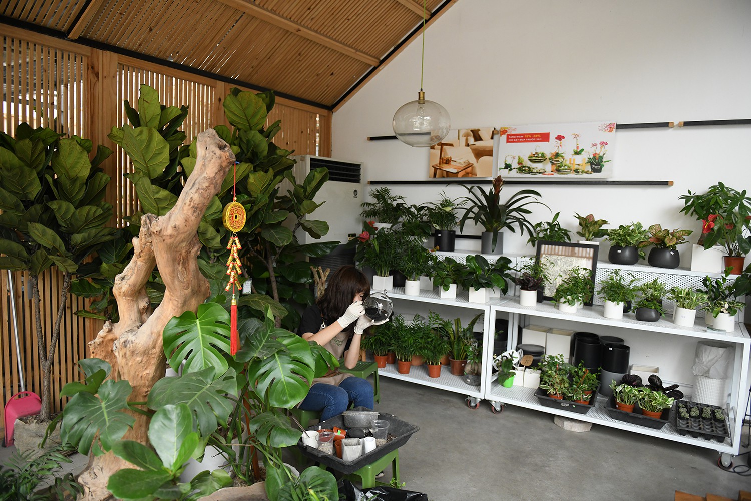 Cận cảnh quán cà phê Hà Nội được báo Mỹ ca ngợi như Rừng Nhiệt đới trong lòng thành phố - Ảnh 7. Cận cảnh quán cà phê Hà Nội được báo Mỹ ca ngợi như Rừng Nhiệt đới trong lòng thành phố - Ảnh 7.