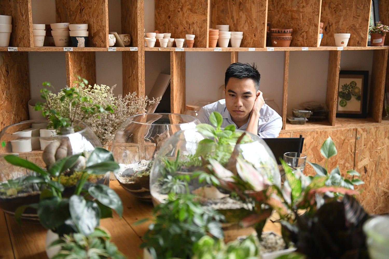 Cận cảnh quán cà phê Hà Nội được báo Mỹ ca ngợi như Rừng Nhiệt đới trong lòng thành phố - Ảnh 12. Cận cảnh quán cà phê Hà Nội được báo Mỹ ca ngợi như Rừng Nhiệt đới trong lòng thành phố - Ảnh 12.