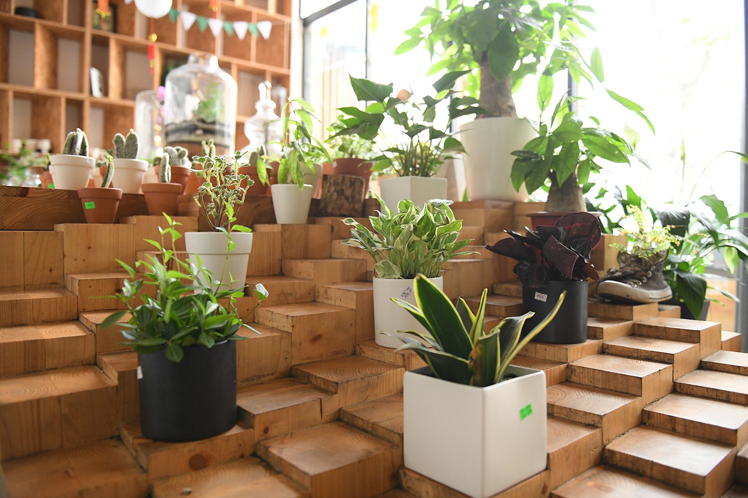 Cận cảnh quán cà phê Hà Nội được báo Mỹ ca ngợi như Rừng Nhiệt đới trong lòng thành phố - Ảnh 15. Cận cảnh quán cà phê Hà Nội được báo Mỹ ca ngợi như Rừng Nhiệt đới trong lòng thành phố - Ảnh 15.