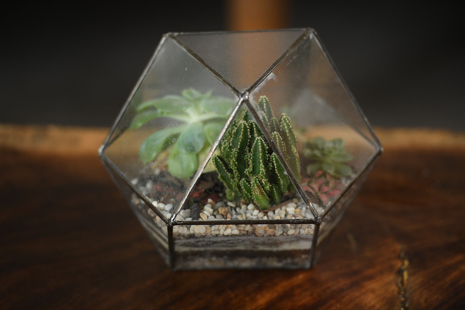 Cận cảnh quán cà phê Hà Nội được báo Mỹ ca ngợi như Rừng Nhiệt đới trong lòng thành phố - Ảnh 14. Cận cảnh quán cà phê Hà Nội được báo Mỹ ca ngợi như Rừng Nhiệt đới trong lòng thành phố - Ảnh 14.