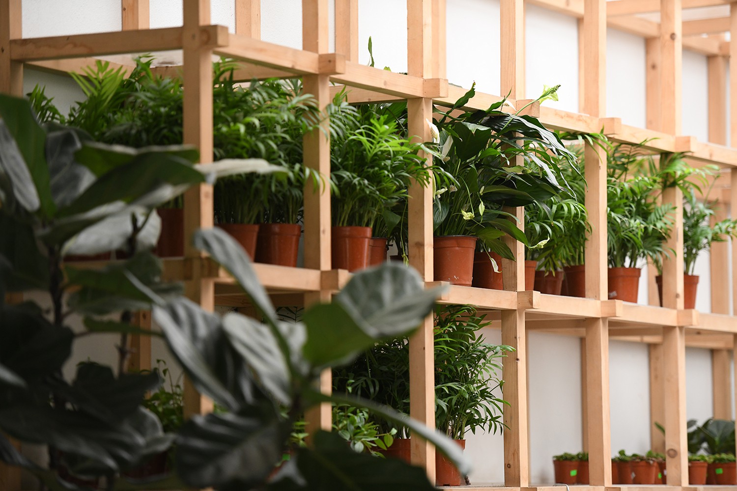 Cận cảnh quán cà phê Hà Nội được báo Mỹ ca ngợi như Rừng Nhiệt đới trong lòng thành phố - Ảnh 17. Cận cảnh quán cà phê Hà Nội được báo Mỹ ca ngợi như Rừng Nhiệt đới trong lòng thành phố - Ảnh 17.