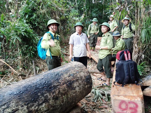 Phó chủ tịch Quảng Nam: Nhìn những cây rừng ngã xuống, tôi cảm giác như máu mình đổ - Ảnh 3.