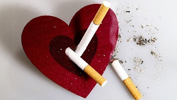Điều gì sẽ xảy ra với cơ thể, ngay từ điếu thuốc đầu tiên bạn thử trong đời? - Ảnh 3.