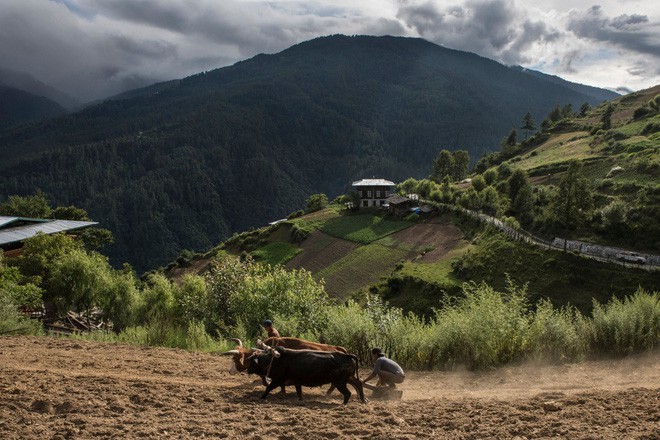 Chào mừng bạn đến với Bhutan, đất nước có mức khí thải carbon âm nhờ 72% diện tích là rừng che phủ - Ảnh 5.