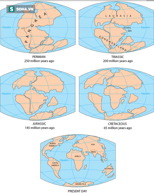 Bí mật siêu lục địa đã từng bao trùm Trái Đất cách đây 300 triệu năm - Ảnh 1.