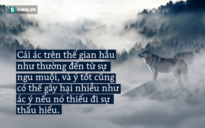 Thấy con sói bị thương, ra tay làm một việc, người đàn ông không ngờ điều tồi tệ ập đến - Ảnh 2.