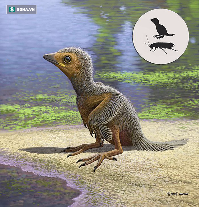 Đã từng tồn tại loài chim nhỏ chỉ bằng con gián, bạn cùng thời với khủng long - Ảnh 1.