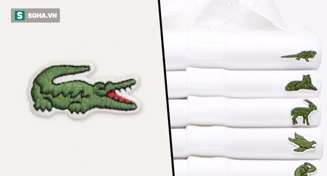 Sau hơn 80 năm, Lacoste quyết định thay đổi biểu tượng cá sấu huyền thoại vì lý do bất ngờ - Ảnh 3.