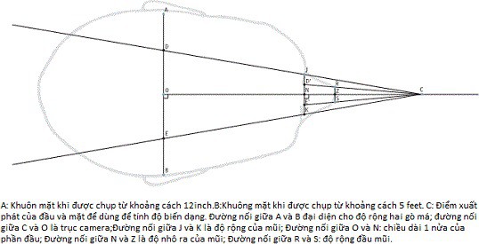 Bí mật sống ảo: Chụp selfie khiến mũi bạn trông to hơn thực tế - Ảnh 2.