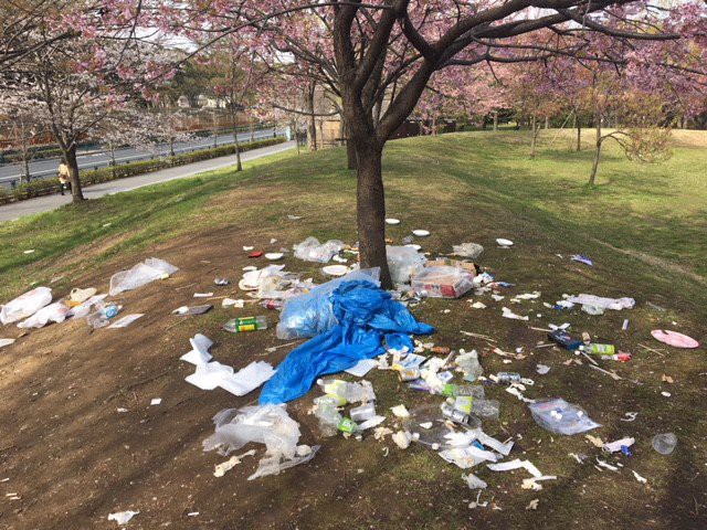 Đi ngắm hoa anh đào rồi để lại cả núi rác, đến người dân Nhật Bản cũng phải lắc đầu ngao ngán khi thấy những cảnh này - Ảnh 3.