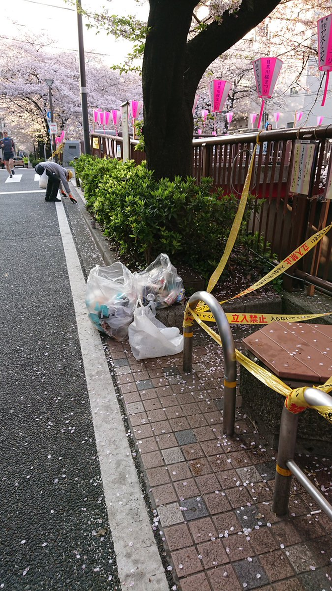 Đi ngắm hoa anh đào rồi để lại cả núi rác, đến người dân Nhật Bản cũng phải lắc đầu ngao ngán khi thấy những cảnh này - Ảnh 7.