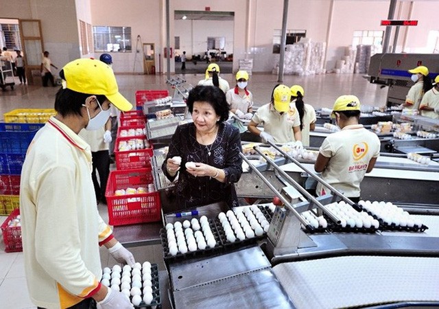  Lạ: Việt Nam nhập khẩu trứng gà, muối hằng năm  - Ảnh 1.