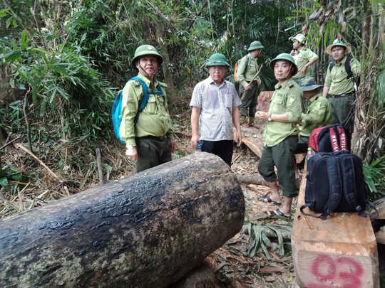 Lãnh đạo Quảng Nam viết tâm thư cho kiểm lâm lúc 0 giờ - Ảnh 5.