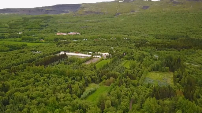 Lần đầu tiên trong vòng 1.000 năm qua, Iceland trồng thêm các cánh rừng mới - Ảnh 5.