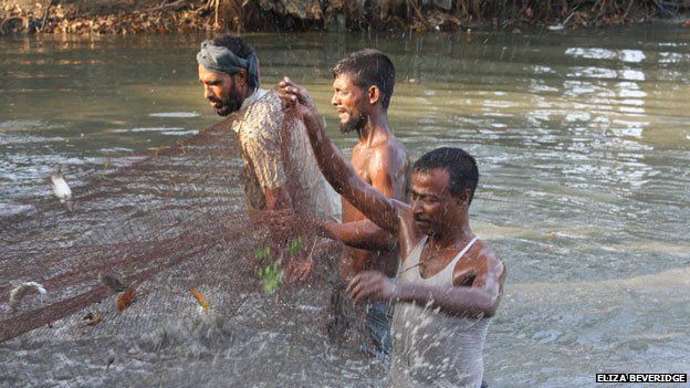 Trơ trọi và bất lực: “Tôi đã nghe thấy nhịp tim của con dã thú - Ảnh 5.