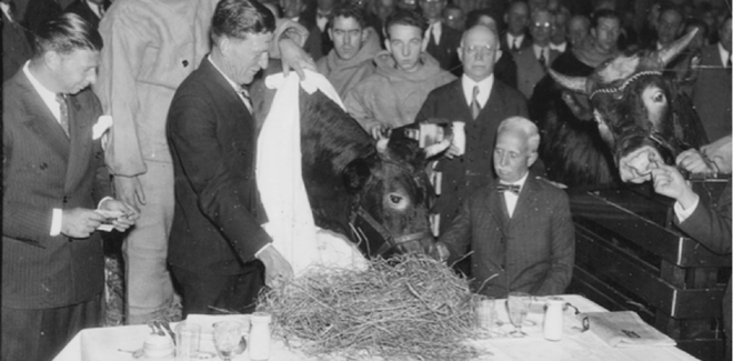 Ngày xửa ngày xưa, vào năm 1933, có ba chú bò được đưa đi Bắc Cực và để lại những câu chuyện vô cùng thú vị - Ảnh 5.