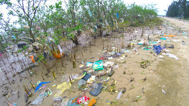 Rừng “cây rác” lủng lẳng ven sông Lam khiến nhiều người rùng mình - Ảnh 7.