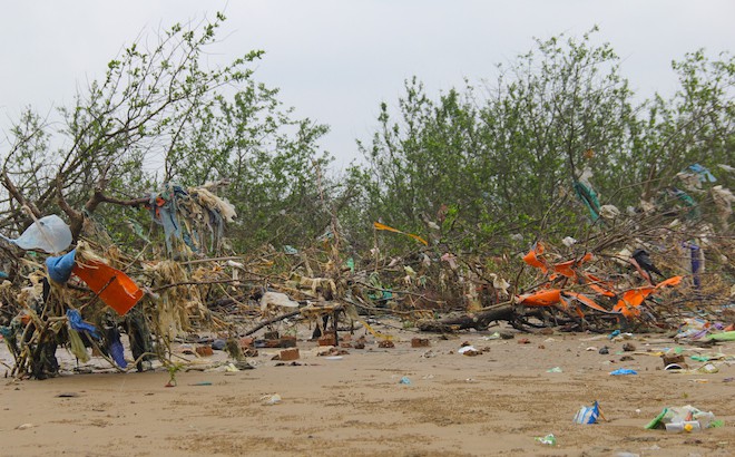 Rừng “cây rác” lủng lẳng ven sông Lam khiến nhiều người rùng mình - Ảnh 11.