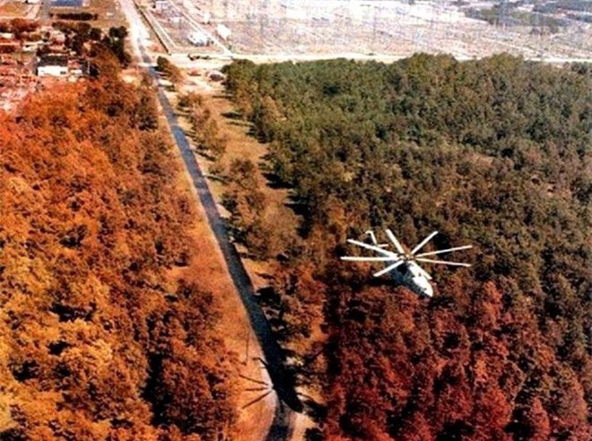 Chernobyl là thảm họa của con người, nhưng lại là tin vui với động vật hoang dã trong khu vực này - Ảnh 2.