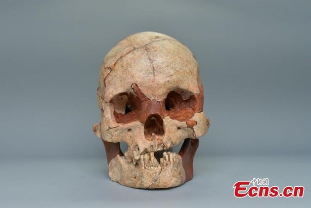 Phát hiện hộp sọ người hoàn chỉnh 16.000 năm tuổi - Ảnh 1.