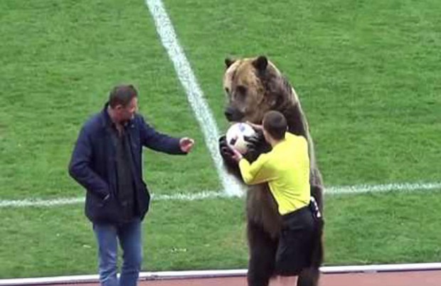 Đội bóng Nga gây sốc khi dùng gấu khổng lồ làm ‘người khai cuộc trận đấu’ - Ảnh 1.
