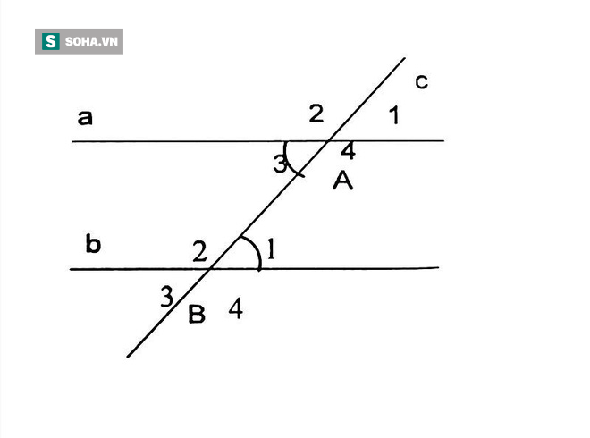 Hơn 2000 năm trước, người ta chỉ cần 1 cây gậy để tính được cả chu vi... Trái Đất - Ảnh 1.