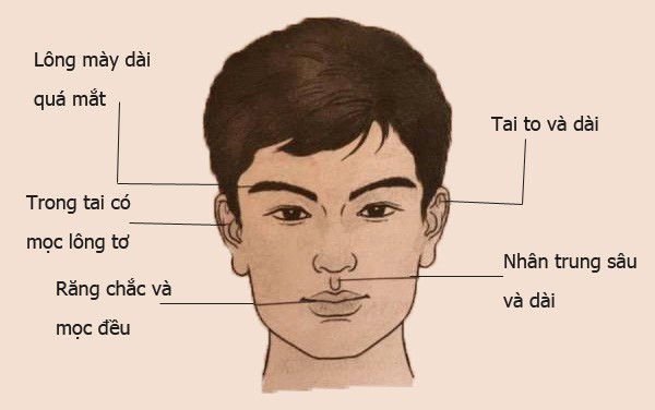 Nhân tướng học: Tướng mạo đàn ông giàu sang, có phúc, phụ nữ lấy được sướng một đời - Ảnh 7.