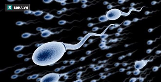 Thuốc tránh thai dành cho nam giới khiến tinh trùng ngừng bơi mà không gây tác dụng phụ - Ảnh 1.