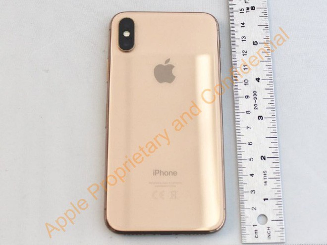 Quên iPhone X đi, Apple có thể sẽ ra mắt mẫu iPhone màn hình 6.1 inch, hỗ trợ 2 SIM với giá chỉ 550 USD ngay trong năm nay - Ảnh 10.