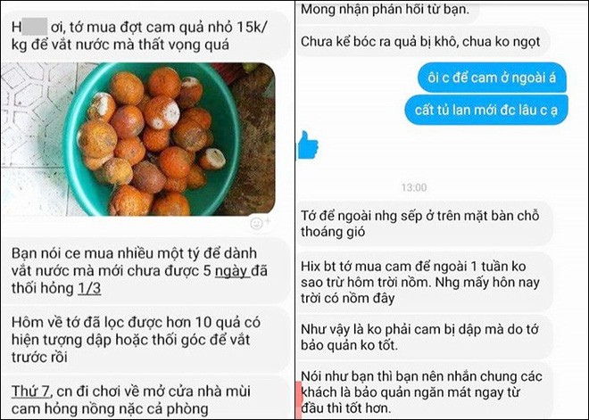 Chủ shop muốn vái khách mua cam, hồng xiêm chín không cho tủ lạnh, để ở ngoài 5 ngày bị thối rồi quay ra bắt đền - Ảnh 5.