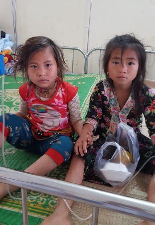 Cứu sống 2 bé gái người Mông ăn nhầm lá ngón - Ảnh 2.