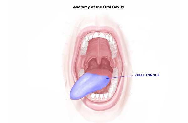 Đừng nhầm lẫn ung thư lưỡi và nhiệt miệng - Ảnh 3.