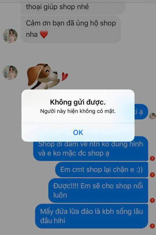 Order đầm mặc hè nhận váy giống đầm bầu, cô gái sốc khi phản hồi chủ shop thì tin nhắn không gửi được - Ảnh 4.