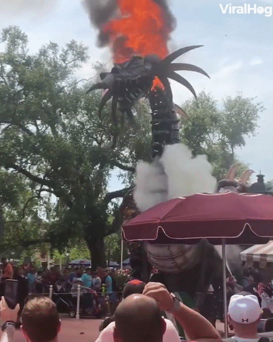 Mô hình rồng lửa bốc cháy dữ dội trong buổi diễu hành, khán giả thích thú đứng xem vì tưởng kiểu nó phải thế - Ảnh 3.