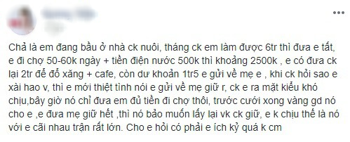 Vợ bầu rút lõi 25% lương của chồng đưa cho nhà ngoại, đến lúc bị chồng giận còn lên mạng hỏi mình có ích kỷ không - Ảnh 1.