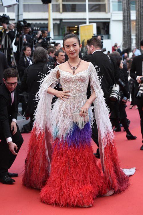 Những lần náo loạn thảm đỏ Cannes của sao Hoa ngữ: Từ mỹ nhân hạng A đến người đẹp vô danh chiêu trò đủ kiểu khiến truyền thông ngao ngán  - Ảnh 13.