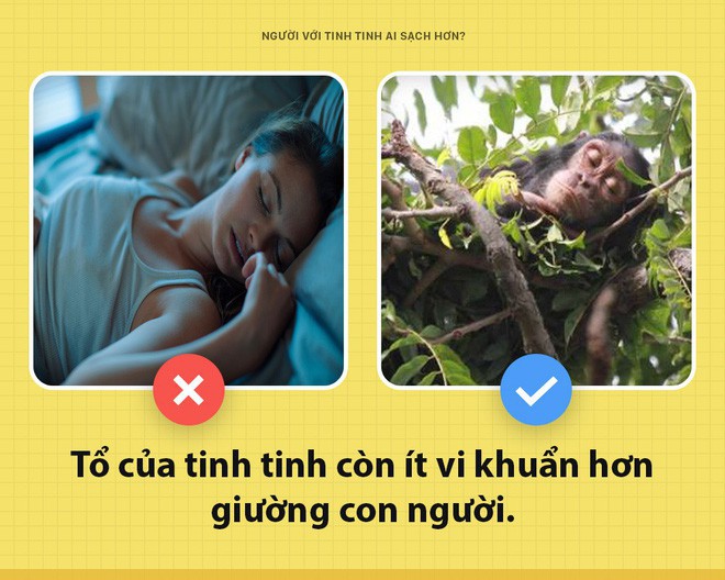 Đắng: Nhiều người trong chúng ta ăn ở còn bẩn hơn lũ tinh tinh - Ảnh 1.