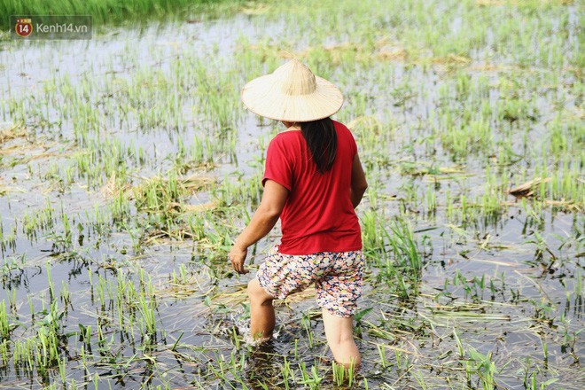 Người mẹ nghèo sinh 14 đứa con ở Hà Nội: Cố gắng tích góp để lỡ nằm xuống còn có cỗ quan tài, chứ chẳng phiền các con - Ảnh 3.