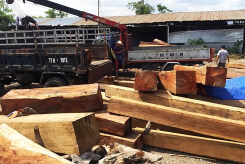 Gia Lai: Bắt giám đốc công ty giấu 60m3 gỗ lậu trong kho - Ảnh 4.