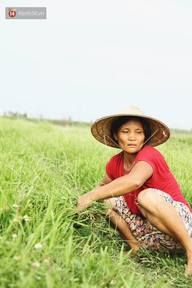 Người mẹ nghèo sinh 14 đứa con ở Hà Nội: Cố gắng tích góp để lỡ nằm xuống còn có cỗ quan tài, chứ chẳng phiền các con - Ảnh 5.