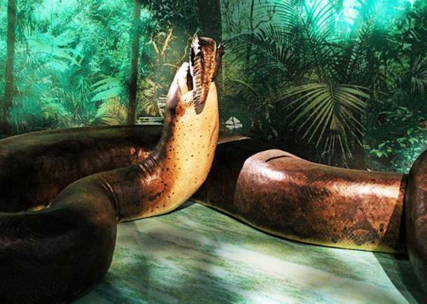 Titanoboa - Mãng xà cổ đại: Dài gấp đôi Anaconda, chuyên làm thịt cá sấu tiền sử - Ảnh 4.