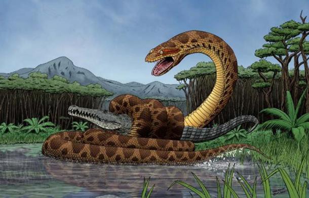 Titanoboa - Mãng xà cổ đại: Dài gấp đôi Anaconda, chuyên làm thịt cá sấu tiền sử - Ảnh 5.